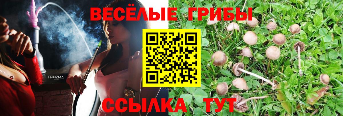 Кызыл  Галлюциногенные грибы Psilocybine cubensis  Вход с VPN  Галлюциногенные грибы Psilocybine cubensis 