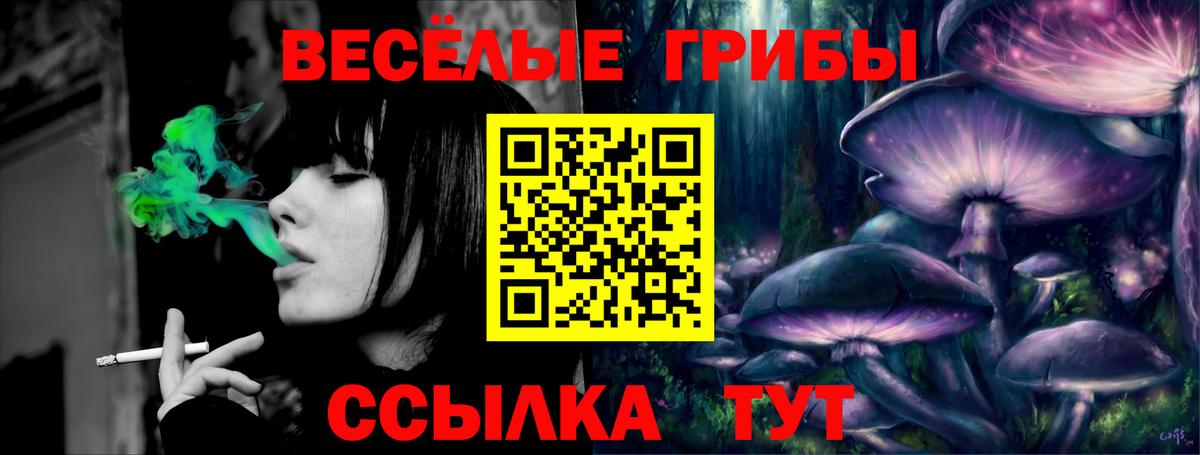 Псилоцибиновые грибы Psilocybine cubensis Кызыл