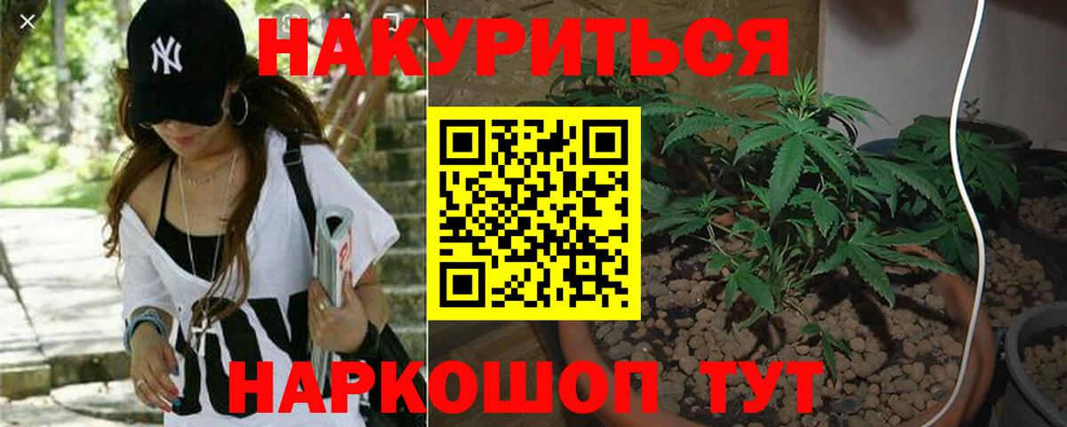 Бошки Шишки ГИДРОПОН  Вход с VPN  Бошки Шишки Ganja  Конопля OG Kush  Кызыл 
